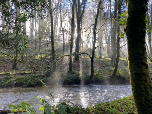 Willow Lodge, Wolfscastle Haverfordwest Buitenkant foto